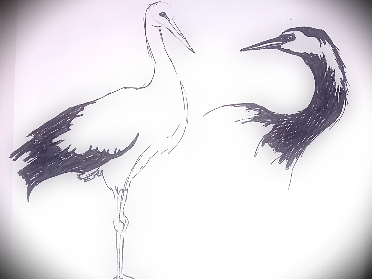 Voyage onirique, bain sonore