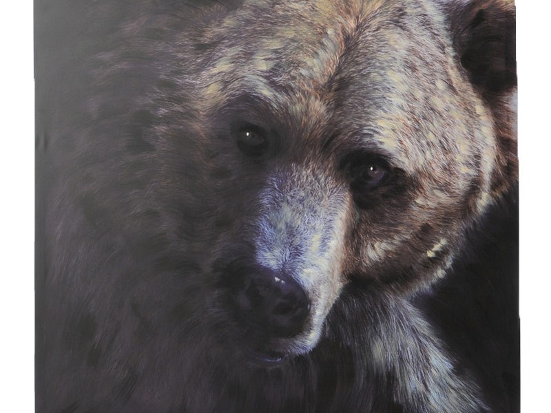 J&rsquo;apprends à apprivoiser la peur, récit de voyage